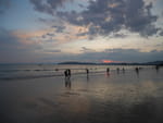 Photos