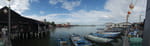 2019-04-28_17-20-17_P1600320-pan.jpg