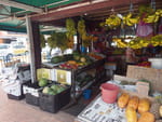 2019-04-29_12-21-29_RIMG0304.jpg