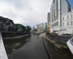 2019-05-02_17-48-14_P1600825-pan.jpg