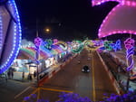Photos