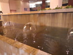 2019-05-08_21-10-41_RIMG0498.jpg
