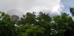 2019-05-10_17-45-01_P1620962-pan.jpg