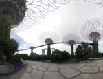 2019-05-10_17-48-05_P1620990-pan.jpg
