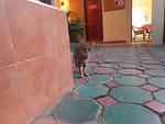 2019-05-12_19-23-08_RIMG0510.jpg