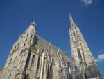 Photos