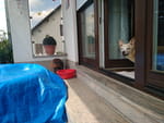 Photos