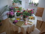 Photos