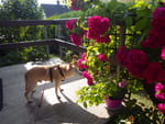 2019-06-25_17-38-39_RIMG1885.jpg