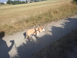 2019-06-25_17-42-13_RIMG1887.jpg