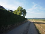 2019-06-25_17-45-29_RIMG1893.jpg