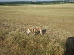 2019-06-25_17-49-55_RIMG1897.jpg