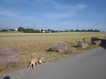 2019-06-25_17-50-25_RIMG1898.jpg