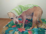 Photos