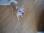 Photos