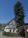 2019-06-30_11-57-31_P1760848.jpg