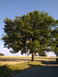 2019-07-02_19-30-23_IMG_20190702_193023.jpg
