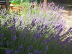 2019-07-04_17-46-26_P1770048.jpg