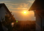 Photos
