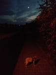 2019-07-06_22-19-31_IMG_20190706_221931.jpg