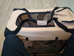 Photos
