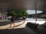 2019-08-19_17-24-55_P1840061.jpg