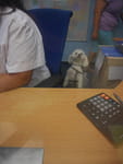2019-08-19_17-27-51_P1840074.jpg