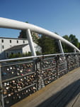 2019-08-24_16-39-48_P1840705.jpg