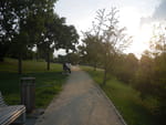 2019-08-27_18-29-33_P1850013.jpg