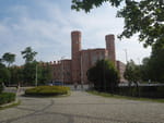 Photos