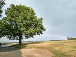 Photos