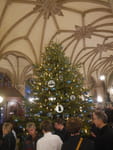 2019-12-13_15-07-33_P1960816.jpg