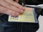 Photos