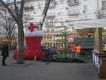 Photos