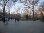 2020-01-25_15-55-01_P1970471.jpg