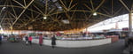 2020-01-25_16-22-52_P1970493-pan.jpg