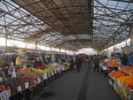 Photos