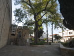 2020-02-10_15-46-45_P1980107.jpg