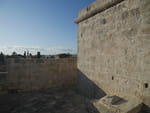 2020-02-10_15-52-44_P1980138.jpg