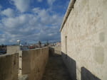 2020-02-10_15-52-53_P1980139.jpg