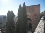 2020-02-27_17-07-36_P2020506.jpg