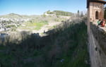 2020-02-27_17-45-35_P2020545-pan.jpg
