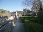 2020-02-27_17-49-55_P2020605.jpg