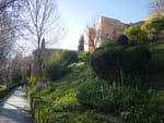 2020-02-27_18-25-27_P2020651.jpg