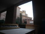 2020-02-27_19-09-49_P2020710.jpg