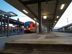 Photos