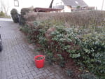 Photos