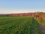 2020-04-19_19-58-44_IMG_20200419_195843048_HDR.jpg