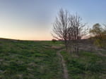 2020-04-19_20-00-32_IMG_20200419_200031100_HDR.jpg