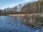 Photos